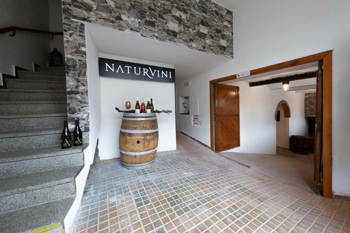Penzion A Vinarstvi Naturvini Miroslav  Exterior foto